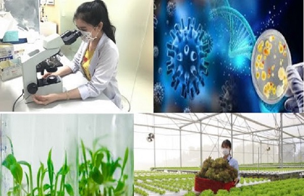 Chương trình hành động phát triển và ứng dụng công nghệ sinh học: Định hình tương lai bền vững